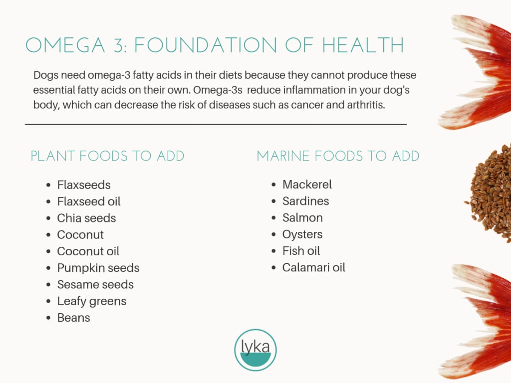Chart: omega-3 foods to add and to avoid