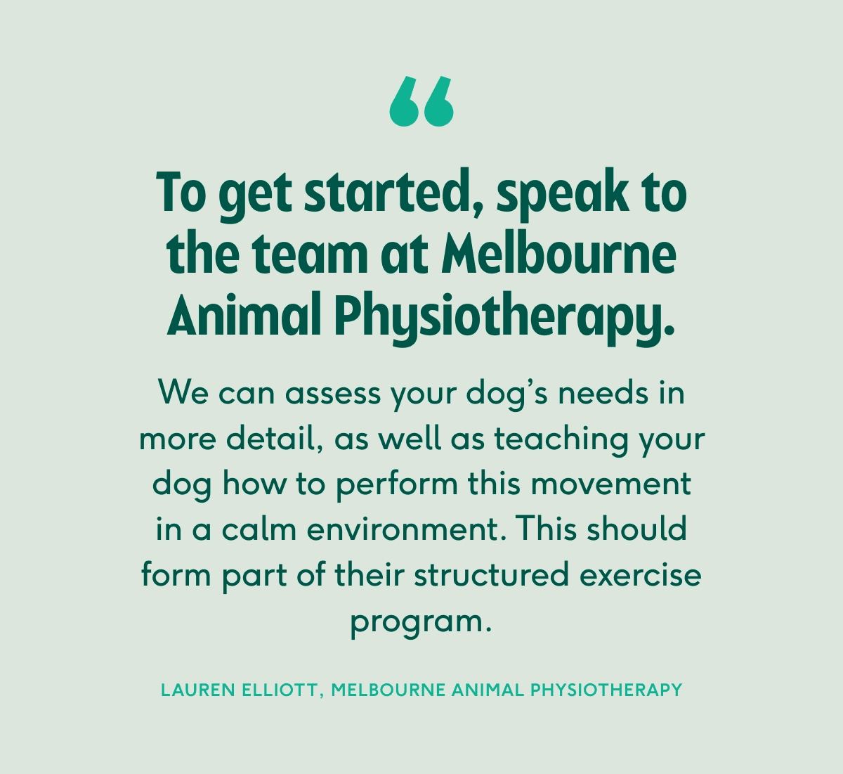 Quote card from the Melbourne Animal Physiotherapy team